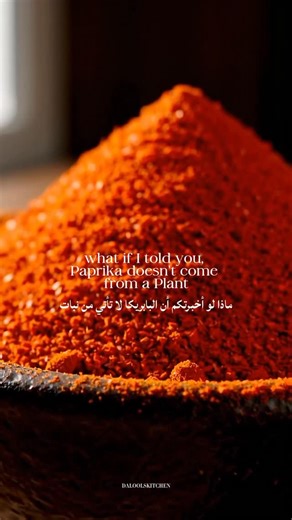 Dalool’s Kitchen | Paprika is one of the most used spices in the world — but most people don’t actually know what it is. It’s simply dried and ground peppers... | Instagram