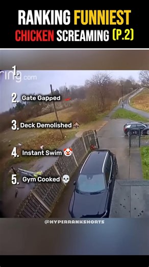 Ranking The Funniest Chicken Screaming Fails: Top 5 Chaos Vid🐔😂 #shorts #funny #fails #chickenscream