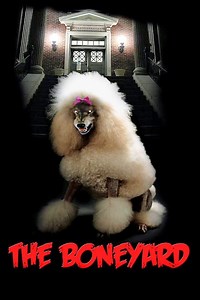 Stream The Boneyard (1991): Find it on Netflix, Prime Video, Hulu & more