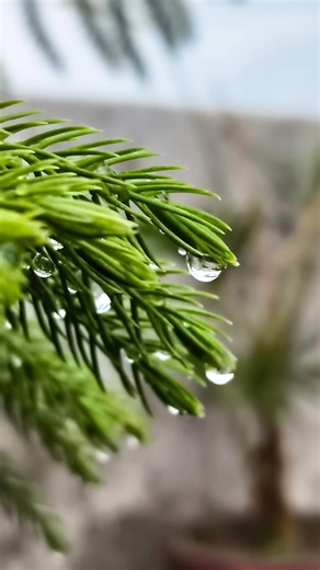 Creative Photography I Tips & Tricks with Phone using Pro Mode 📸 I Mobile Photography Hacks🔥