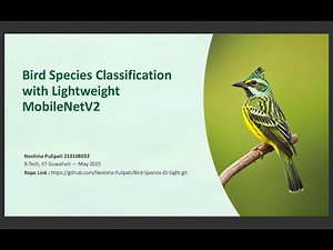Bird Species Classification | Project Walk-Through