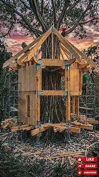 Build a tree house in a big tree