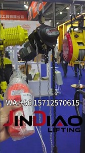 Manual or electric — one hoist, double flexibility. Compact design, powerful lifting.