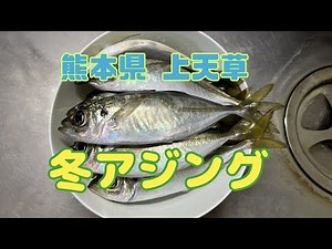 【アジング】⛄️冬のアジングが楽しかった🎣