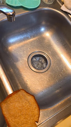 what are they putting in our bread.. #saralee #bread #breadtok #fyp #sponge