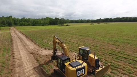 Draining the prawn pond! (Big surprise)