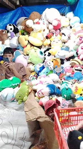 JACKY LINE 3 on Reels