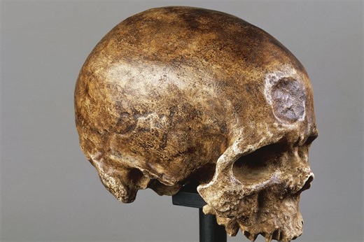 How did humans evolve, and will we evolve more?