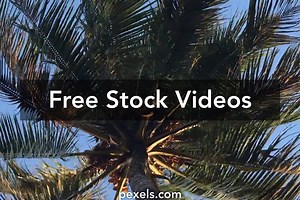 Strong Wind Videos, Download The BEST Free 4k Stock Video Footage & Strong Wind HD Video Clips