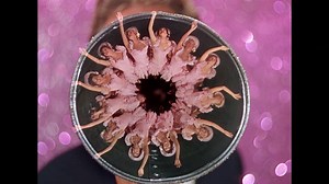 29K views · 1.2K reactions | Tonight starting at 8pm ET we pay tribute to the great Stanley Donen, who gave us so many memorable moments. Let's keep dancing. | Turner Classic Movies: TCM | Facebook