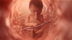 105K views · 4.6K reactions | Science is crystal clear: human life begins at the moment of fertilization. | Live Action | Facebook