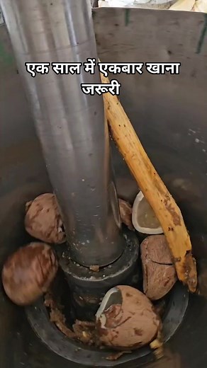 967K views · 10K reactions | #Facebook #reels #rajasthani #training #viral #video देशी खाणो देशी रहेणो और मजबूत @हाइलाइट | Shri Ram Bhati | Facebook