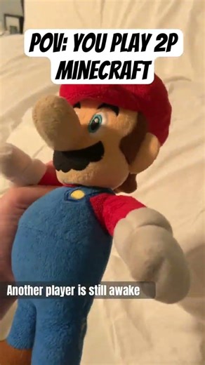 POV: you play 2p Minecraft