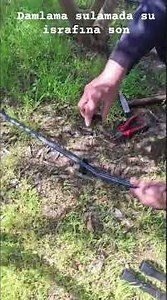 Step-by-Step Watering Stake Installation | Water Tree Roots Directly!