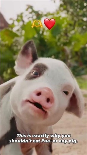 Moana Got Pigs Exactly Right 🐷🌺