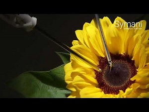 Symani® | Discover the Beauty of Robotic Microsurgery
