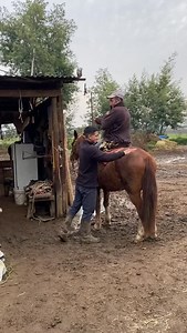 Creo que así no se baja… | Don Angelito
