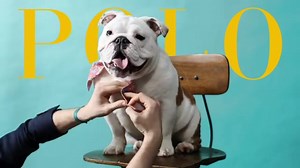 The RL easy-to-use guide to tying a bow tie. Tux optional. Find more #PoloRalphLauren: http://rlauren.co/1wjIlXd | Ralph Lauren