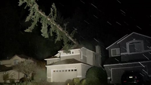 'Bomb cyclone' knocks out power, roads on B.C. coast