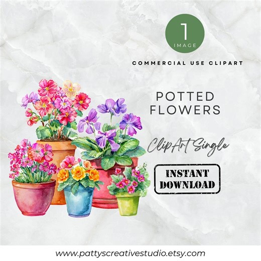 Bright Potted Flowers 1 Image Clipart Watercolor Colored Flower Pots With Vibrant Garden Flowers Theme Wall Art Paper Craft Invite Scrapbook - Etsy