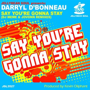 Darryl D'Bonneau - Say You're Gonna Stay (DJ Meme & Jovonn Remixes)