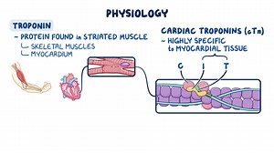 Video: Cardiac biomarkers - Troponin: Nursing - Video Explanation! | Osmosis
