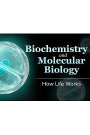Watch Biochemistry and Molecular Biology: How Life Works Season 1 Episode 7 - Enzymes' Amazing Speed and Specificity