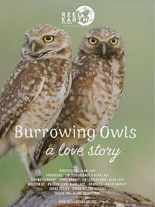 Burrowing Owls: A Love Story (2025) - Movie