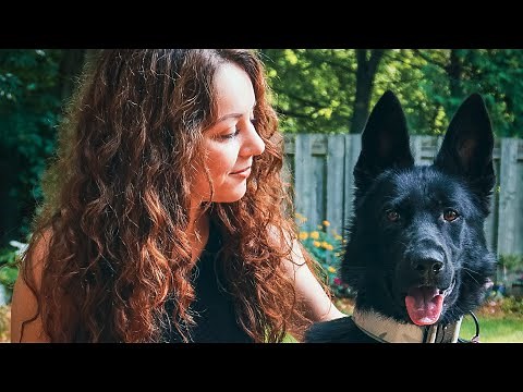 Q&A Girl With The Dogs