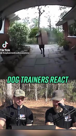 15K views · 256 reactions | Sometimes all you need is a good laugh  delivery driver gets caught off guard by a big dog #dogs #dogtrainer #dogtrainersreact #react #reaction #funny #funnyvideo | Canine Revolution Dog Training | Facebook