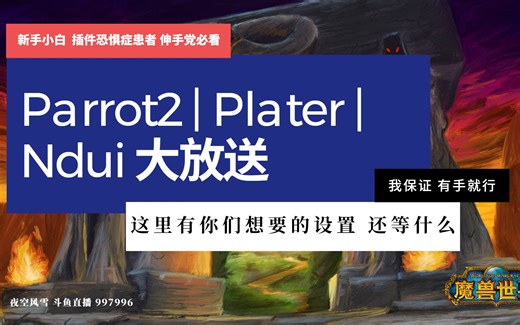 【魔兽世界怀旧服】我的 Parrot2 | Plater | Ndui 设置详解