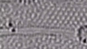 Chemical bonds form and break in a molecule in microscope video