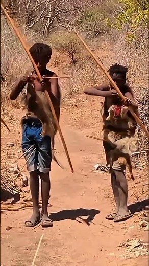 Rare Jungle Moment: Tiger on the Move as Hunters Carefully Observe | Wildlife Documentary