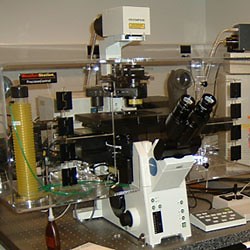 Cell Imaging Shared Resource