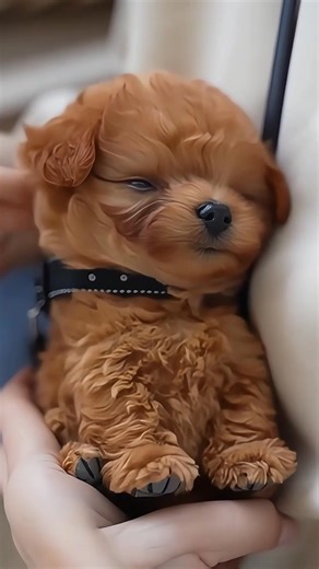 🐶 2025 Robotic Dog - So lifelike it barks, walks & wags! Perfect gift for all ages. Realistic fur & smart movements. 🎁✨ | Definiteof