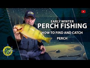 This Early Winter Perch Pattern Is MONEY