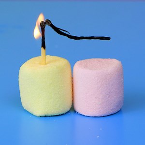 141K views · 154 reactions | Fun science experiments you can try at home! | 5-Minute Crafts Like | Facebook