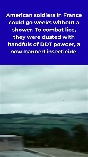 How soldiers prevented lice #shorts