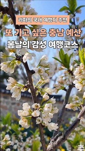 또 가고 싶은 충남 예산 가볼만한곳 봄날의 감성 여행코스 추사고택 예당호 내포 보부상촌 봉수산 자연휴양림 #예산가볼만한곳 #충남가볼만한곳 #예산여행