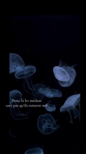 #meduse