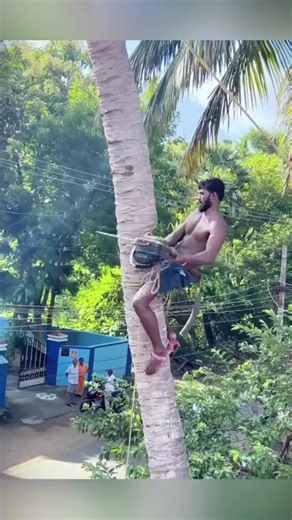 Tree-cutting specialist in action! Let’s see how it’s done! #reels #arborist #treework #cuttertree #virals #woodchopping #forestry #woodcutting | Tree-Cutting | Facebook