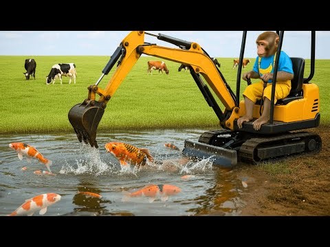 Monkey Farmer Working with Mini Tractor, Excavator – Builds DIY Pond and Rescues Fish on Farm