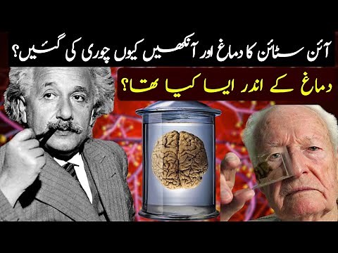 The Science Behind Einstein's Genius: A Look at His Brain