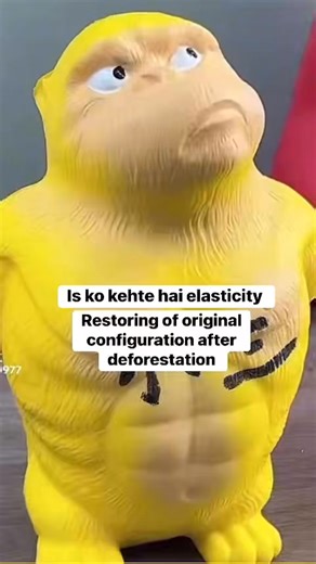 Example of elasticity | Physics with sir farhad