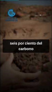 🌿 El permafrost tiene un filtro secreto que atrapa carbono #Shorts