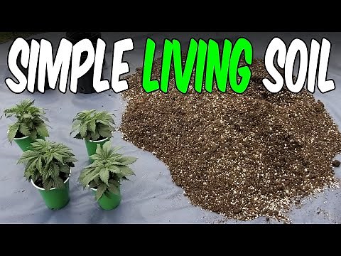 OG Kush from Seed Ep.1 Living Soil for Cannabis