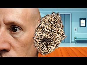 Deep Cleaning Animation ASMR—Removing Ticks, Maggots & Insects From Ear (Satisfying & Relaxing)