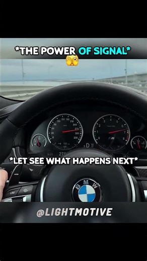 What Does This Signal Mean? 🚦 No Speed Limit 😳 300 km/h!