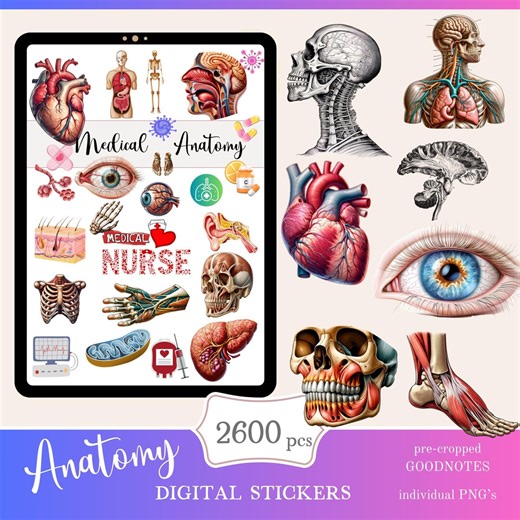 Anatomy Medical Goodnotes Stickers | Nurse Medical Digital Sticker Pack | Everyday Stickers Download PNG | Functional Stickers | Notability - Etsy