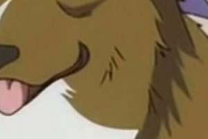 Top down shooter template - Free Addicting Game ★★★★★